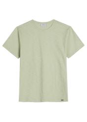 Bawełniany T-shirt męski w kolorze szałwiowym TSHMT-0149-8F(W26) - widok produktu z przodu, na białym tle. 