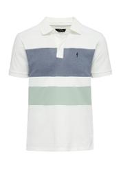 Kremowa koszulka polo męska w pasy POLMT-0074-12(W25)-01