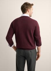 Bordowy bawełniany sweter męski SWEMT-0114A-4D(Z26), widok produktu z tyłu na modelu. Widoczna połowa sylwetki.